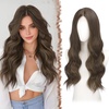 Brown with Highlights